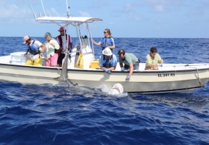 Shark team with shark on side of boat