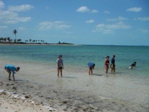 Island School students perform a walking transect, identifying and marking juvenile queen conch on Sunrise Beach.