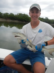 CEI Shark Intern Ian B. handling a juvenile lemon shark.