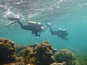 Jocelyn and Kate recording fish along their transects.