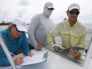 Bonefish measurements recorded in Cross Harbor.