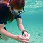 Team member Rey measure conch siphonal length.