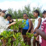 Tiff Gray teaches DCMS students about mangroves.