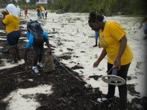 A PHA student searching for plastic debris