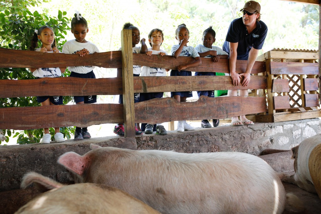 The kids explored the farm and got to feed the pigs
