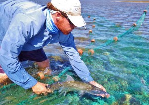 Eric Schneider bonefish