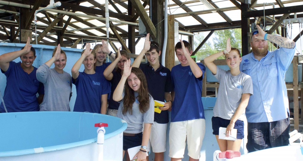 The Fall 2014 Elasmobranch Electrosensory class with advisors Kate McClellan Press (second from left) and Owen O'Shea (right).