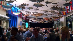 Conference dinner at the IGFA Hall of Fame and Museum. The future of flats conservation was discussed beneath replicas of world record fish.