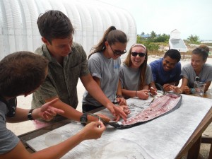 Fig. 3: Island School students remove the stomach from a dolphinfish in preparation for a stomach dissection.