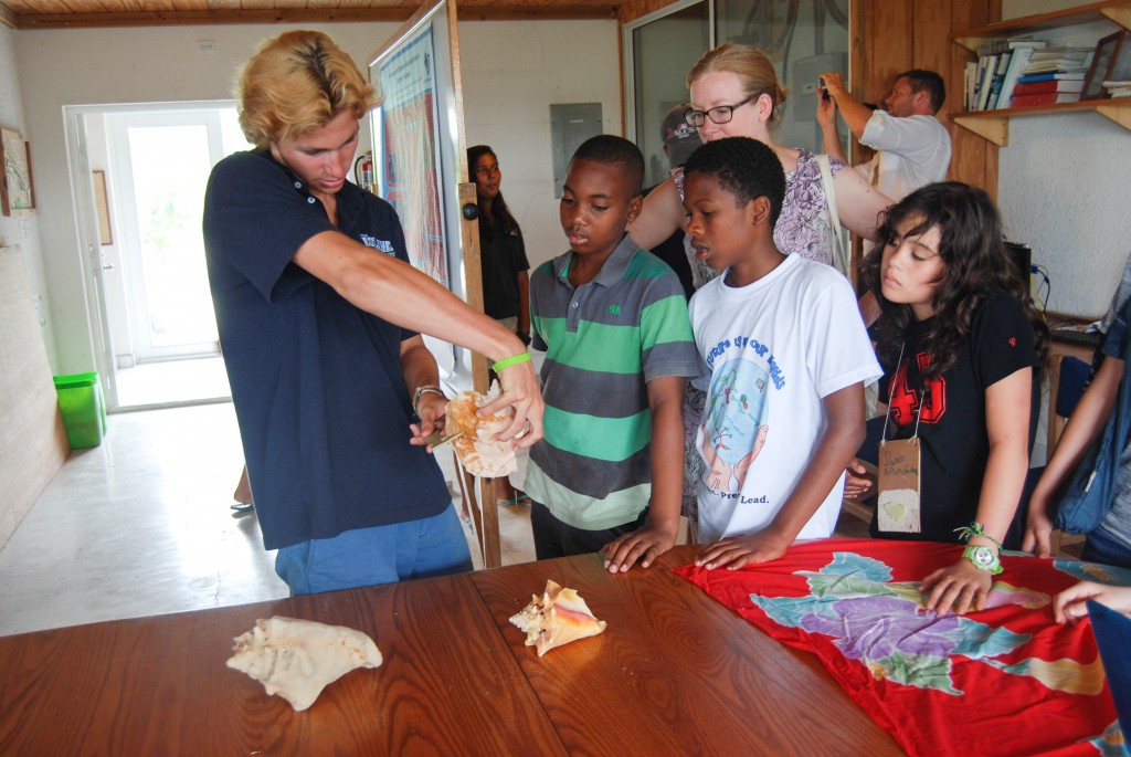 Spring 15 Island School student shows a tour group how to measure a queen conch. Photo credit: Cam Powell