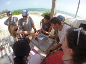 Dr. Jocelyn Curtis-Quick shows visiting Earthwatch group how to dissect and fillet a lionfish. (1)