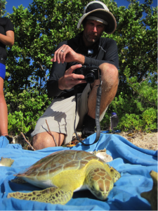 Prof. Irschick takes a series of digital images of an individual green turtle for input into the 3D modelling software
