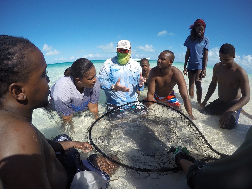 Dr. Owen O’Shea explains to the team how to tag stingrays, before Sophia Louis works up the ray