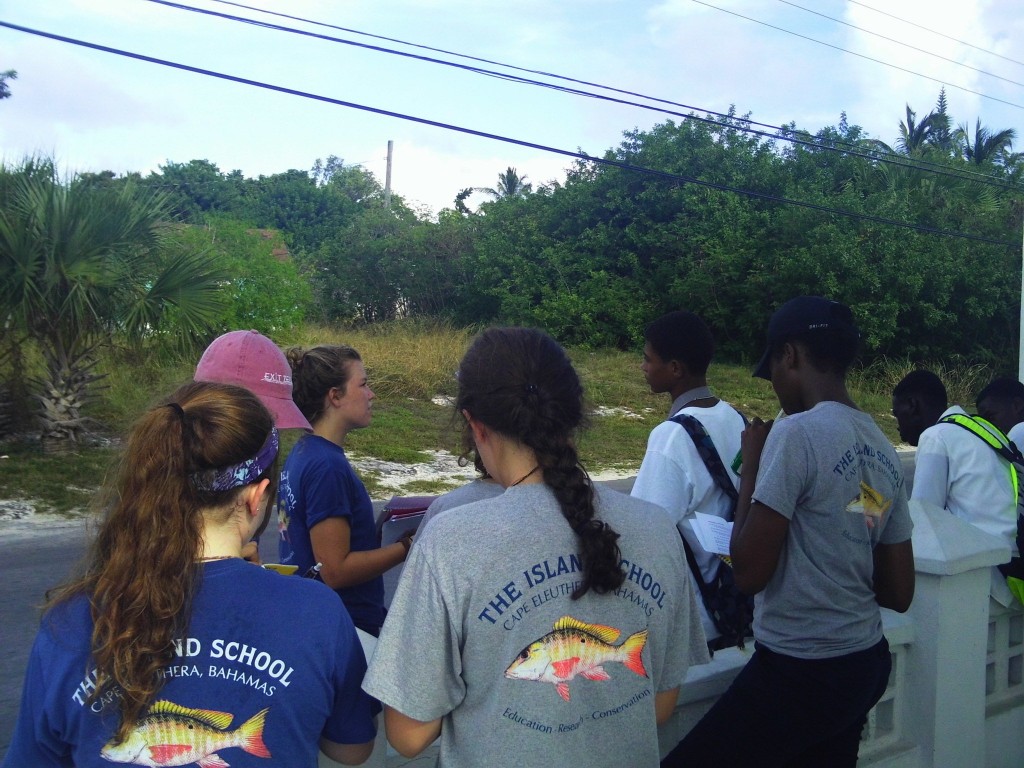 Island School Students teach local teens about sea turtles