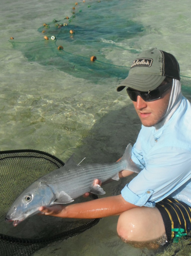 The 26.5 inch fish tagged and released by Flats researchers. Note the white tag near the fishes’ dorsal fin, containing an individual number and contact information for reporting when, where, and who recaptures this fish.
