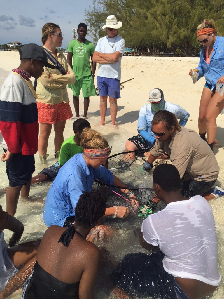 The team working up a ray with two young students and toursits watching on