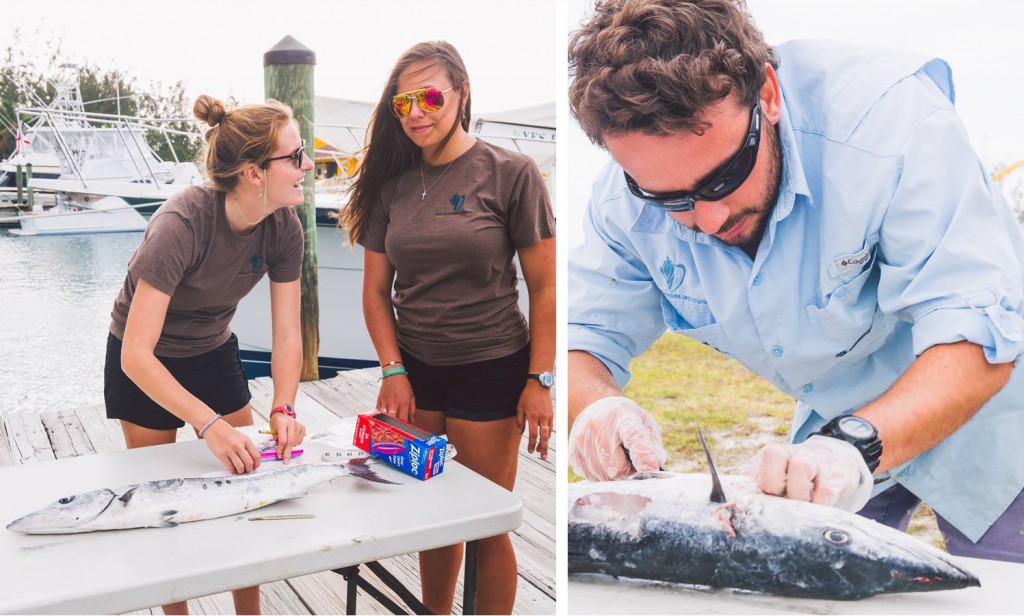 CEI researchers including (from L to R) a MSc student, a CEI intern, and a PhD student assisted with the collection of tissue samples