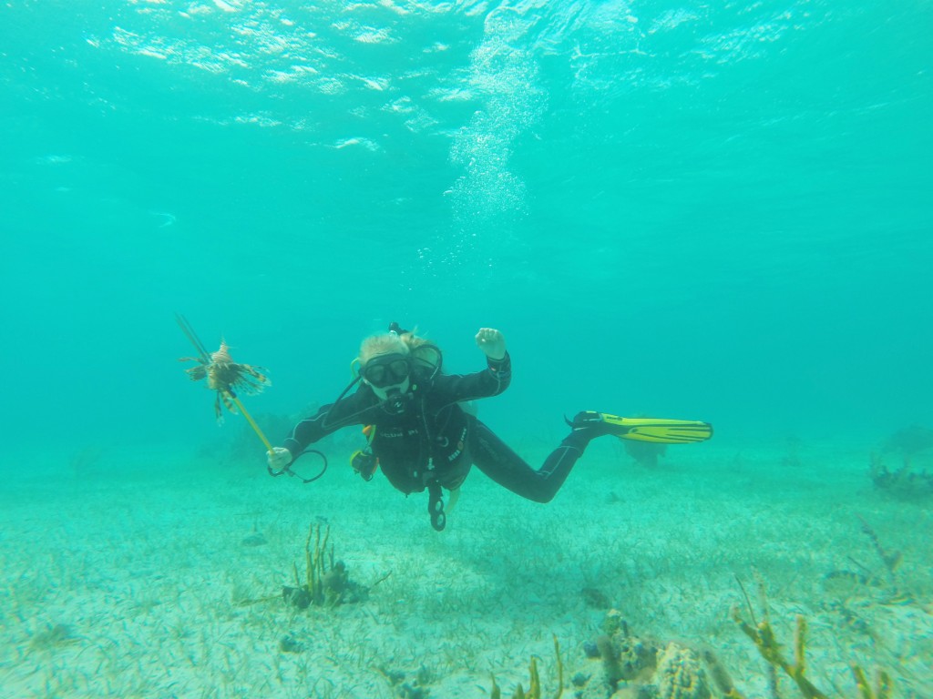 Removing lionfish from the reef