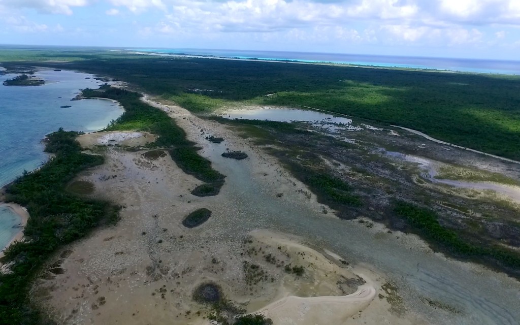 Kemps Creek on the Banks side - a smaller, mangrove fringed creek