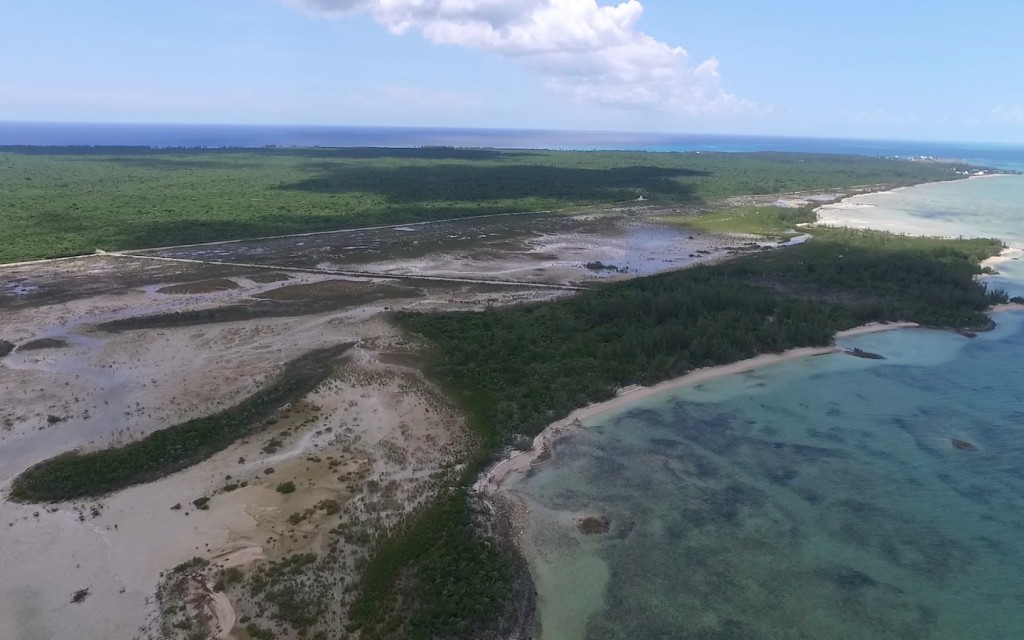 South Eleuthera offers the only mangrove creek systems on the Island - here shows Kemps Creek which borders the Grand Bahama Bank.