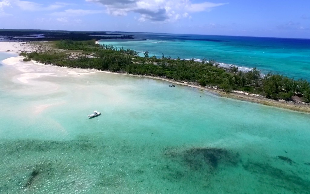 The Ray team surveying Deep Creek - A very large and biologcally rich ecosystem bordering the deep Exuma Sound