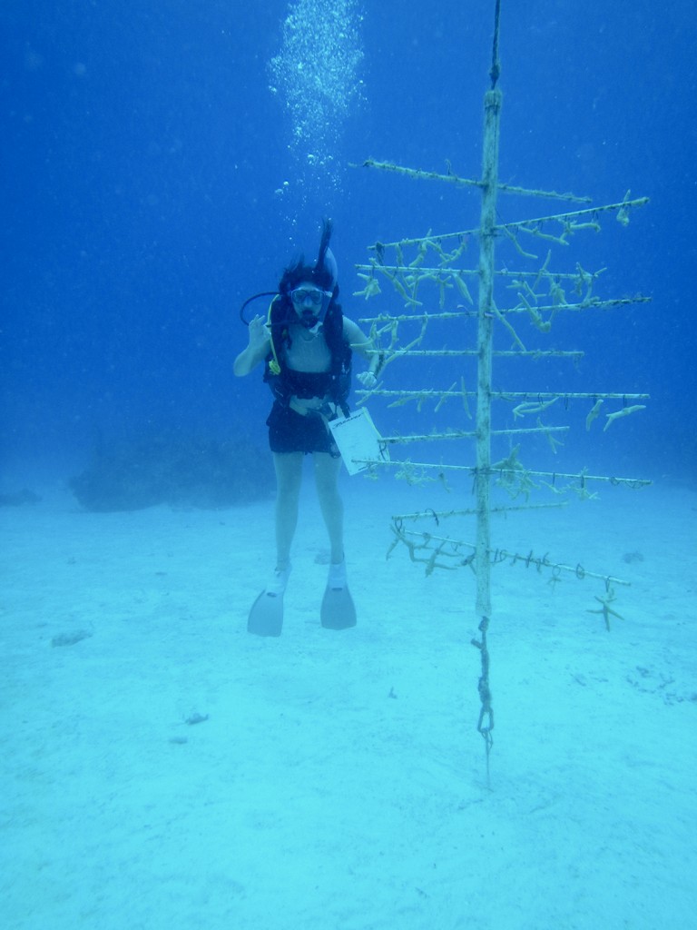 University of Leeds undergraduate student Natasha Webbe by the coral nursery at Tunnel Rock